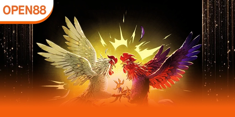 Chọn đúng thời điểm đặt cược giúp tăng hiệu quả chơi